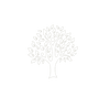 BanyanTree Foods