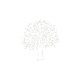 BanyanTree Foods